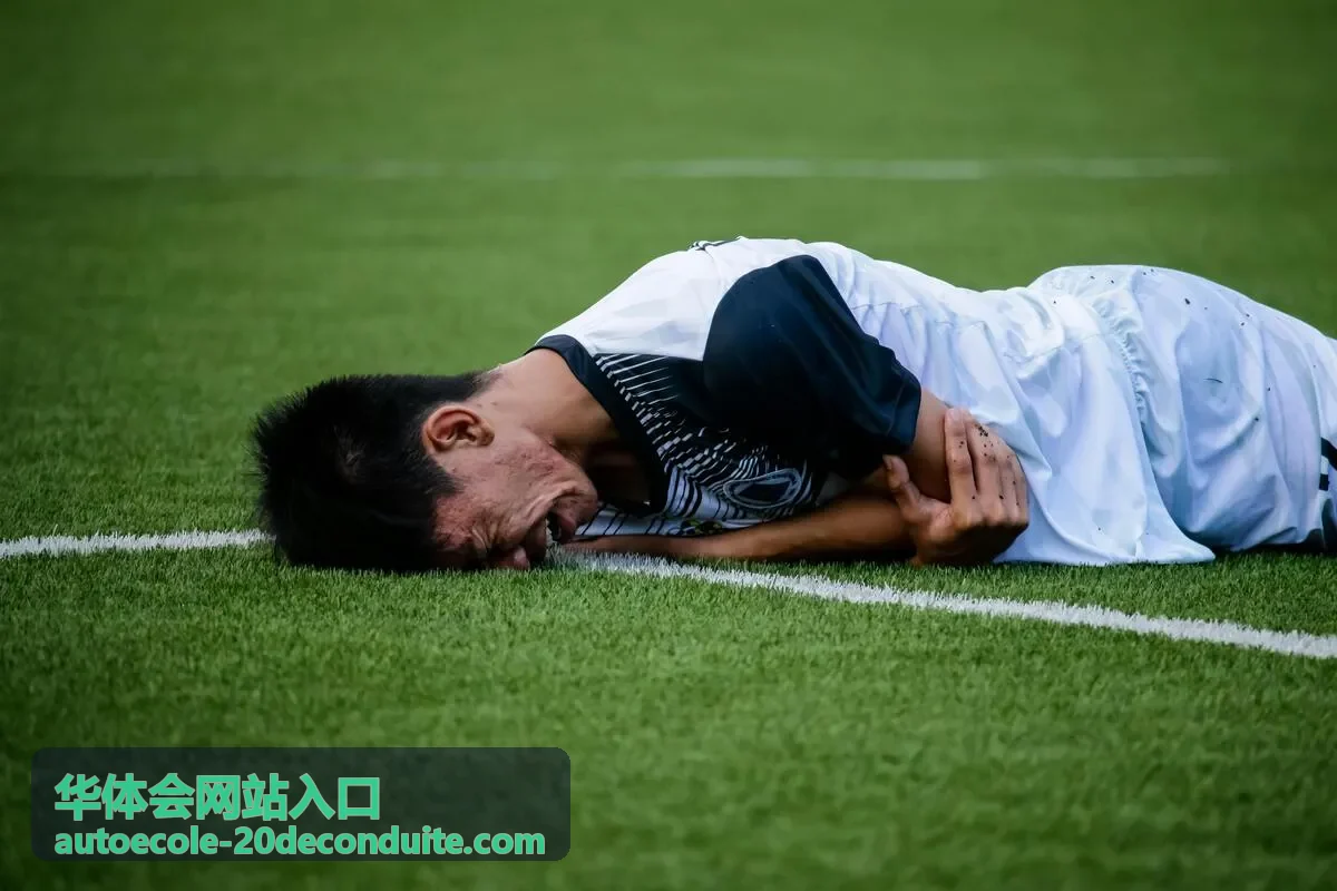 华体会网站入口入口指引栏目封面