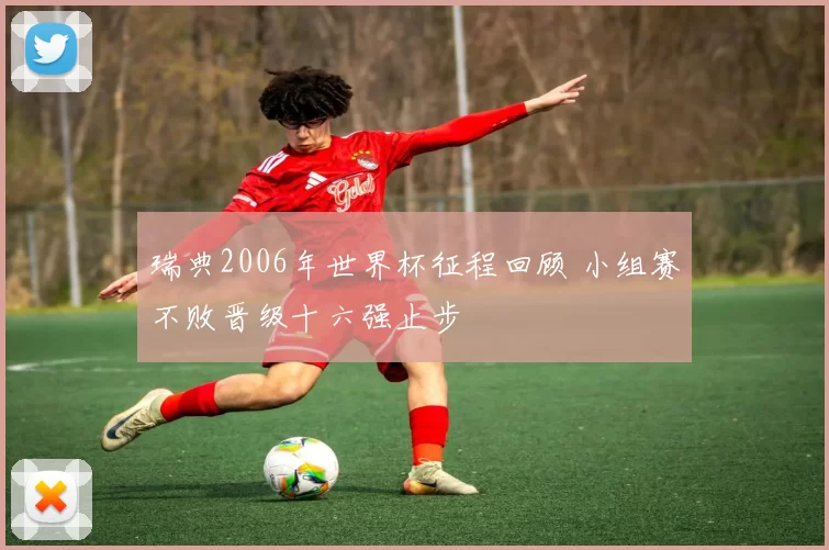 瑞典2006年世界杯征程回顾 小组赛不败晋级十六强止步