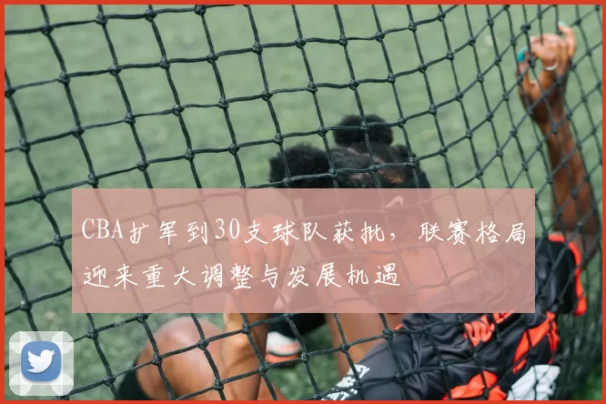 CBA扩军到30支球队获批，联赛格局迎来重大调整与发展机遇