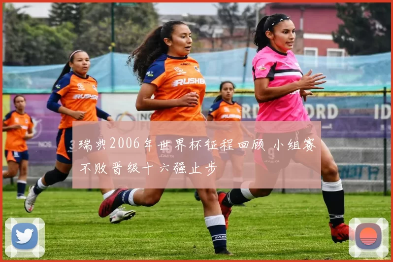 瑞典2006年世界杯征程回顾 小组赛不败晋级十六强止步