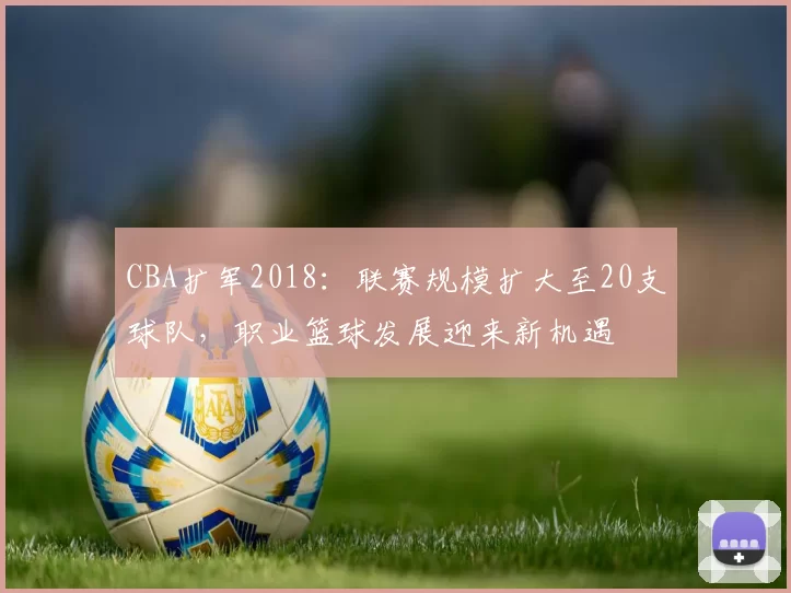 CBA扩军2018：联赛规模扩大至20支球队，职业篮球发展迎来新机遇