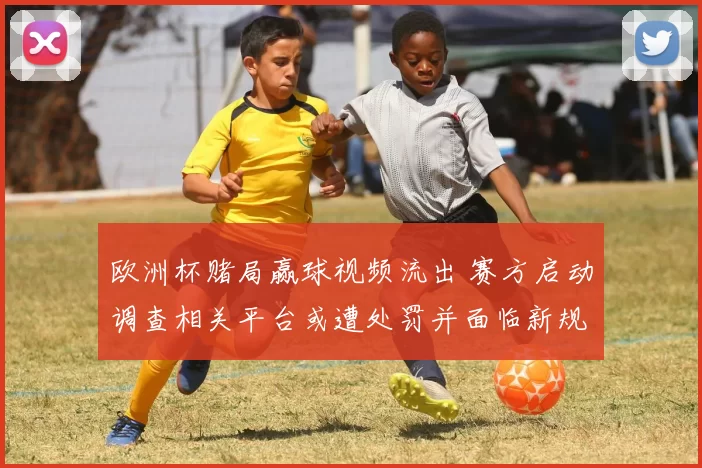 欧洲杯赌局赢球视频流出 赛方启动调查相关平台或遭处罚并面临新规约束